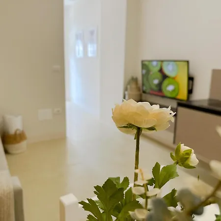 Premium Riviera Apartment- Ac,parking,wifi,comfort Golem (Tirana)